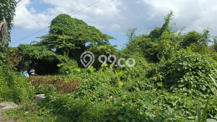 Tanah Kavling di Blahbatuh Dijual dengan Luas 378m2 Tanah Kavling di Blahbatuh Dijual dengan Luas 378m2