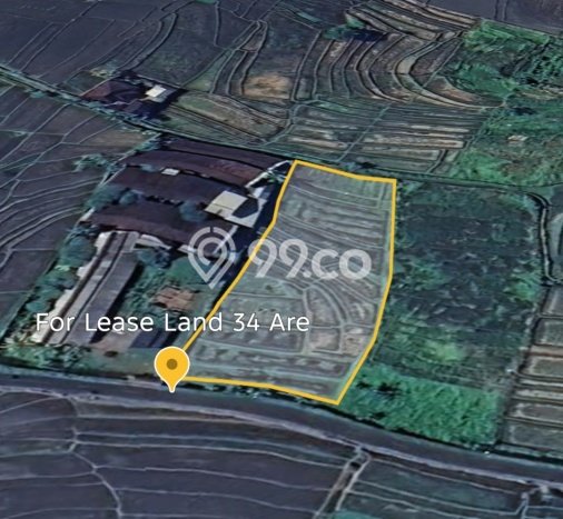 Kavling Tanah untuk Disewa di Kaba kaba Lahan Luas 3400m2 Kavling Tanah untuk Disewa di Kaba kaba Lahan Luas 3400m2