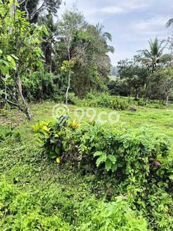 Tanah Kavling untuk Dijual di Selemadeg Tabanan 5730m2 Tanah Kavling untuk Dijual di Selemadeg Tabanan 5730m2