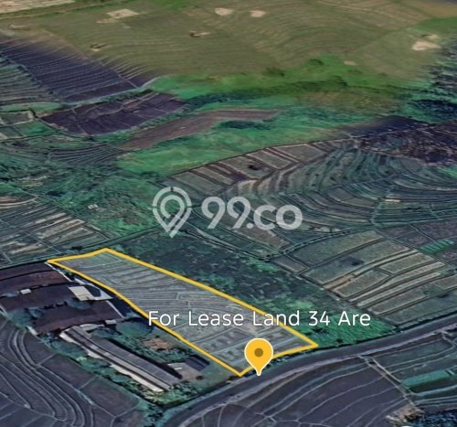 Kavling Tanah untuk Disewa di Kaba kaba Lahan Luas 3400m2 Kavling Tanah untuk Disewa di Kaba kaba Lahan Luas 3400m2