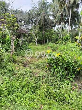 Tanah Kavling untuk Dijual di Selemadeg Tabanan 5730m2 Tanah Kavling untuk Dijual di Selemadeg Tabanan 5730m2