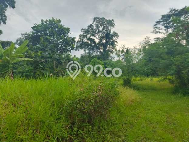 HARGA MENARIK! Tanah Kawasan , Luas 1383m2m², Lingkungan Nyaman HARGA MENARIK! Tanah Kawasan , Luas 1383m2m², Lingkungan Nyaman