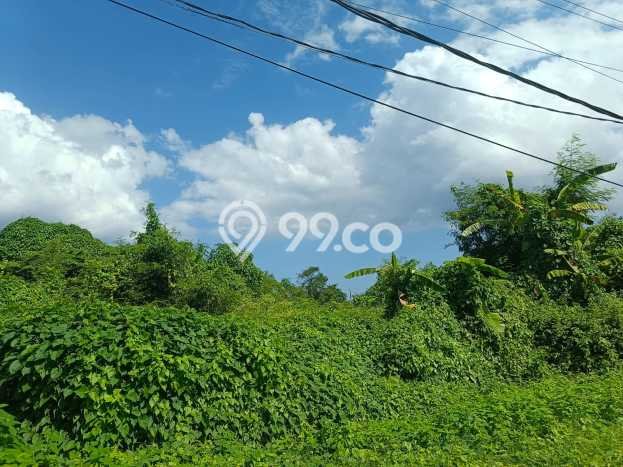 Tanah Kavling di Blahbatuh Dijual dengan Luas 378m2 Tanah Kavling di Blahbatuh Dijual dengan Luas 378m2