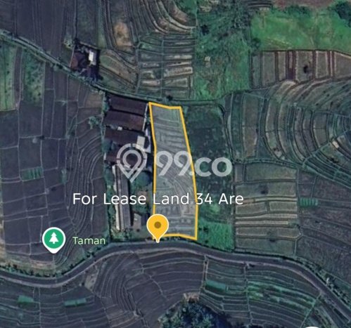 Kavling Tanah untuk Disewa di Kaba kaba Lahan Luas 3400m2 Kavling Tanah untuk Disewa di Kaba kaba Lahan Luas 3400m2