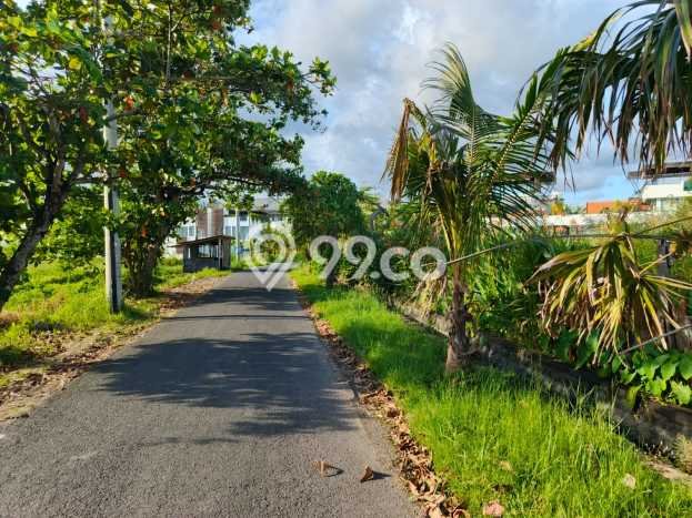 Kavling Tanah untuk Disewa di Kaba kaba Lahan Luas 3400m2 Kavling Tanah untuk Disewa di Kaba kaba Lahan Luas 3400m2