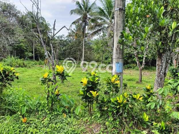 Tanah Kavling untuk Dijual di Selemadeg Tabanan 5730m2 Tanah Kavling untuk Dijual di Selemadeg Tabanan 5730m2
