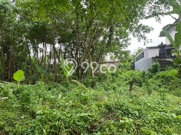 Siap Disewakan Tanah di Mengwi Luas 2000m2 Area Potensial Siap Disewakan Tanah di Mengwi Luas 2000m2 Area Potensial