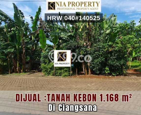 Tanah Area Prospektif Kawasan , Luas 1168m2m², Dekat ke Fasilitas, Lingkungan Nyaman Tanah Area Prospektif Kawasan , Luas 1168m2m², Dekat ke Fasilitas, Lingkungan Nyaman