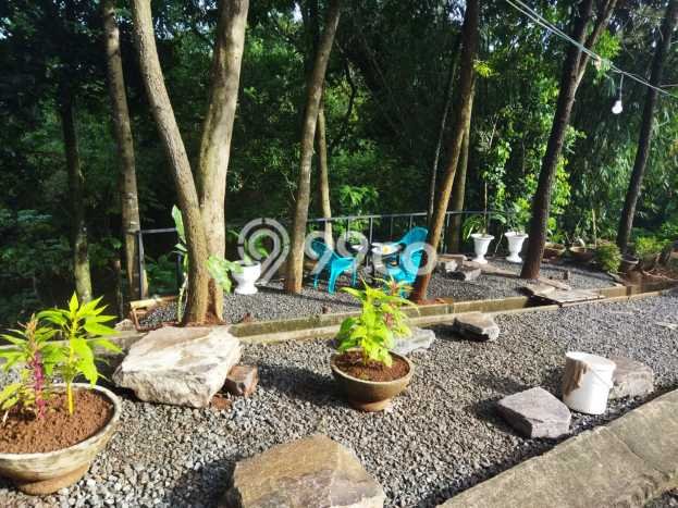 Hunian Super Elit dengan Akses Paling Strategis di Cibubur, Jakarta Timur Hunian Super Elit dengan Akses Paling Strategis di Cibubur, Jakarta Timur