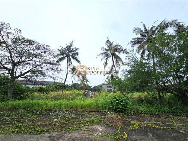 Tanah untuk Dijual di Tangerang Tangerang Luas 55000m2 Tanah untuk Dijual di Tangerang Tangerang Luas 55000m2