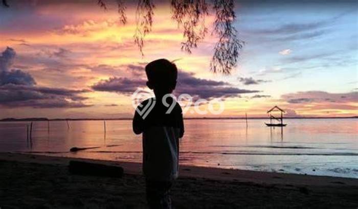 Tanah Komersial Dijual di Bintan Utara Bintan 55000m2 Tanah Komersial Dijual di Bintan Utara Bintan 55000m2