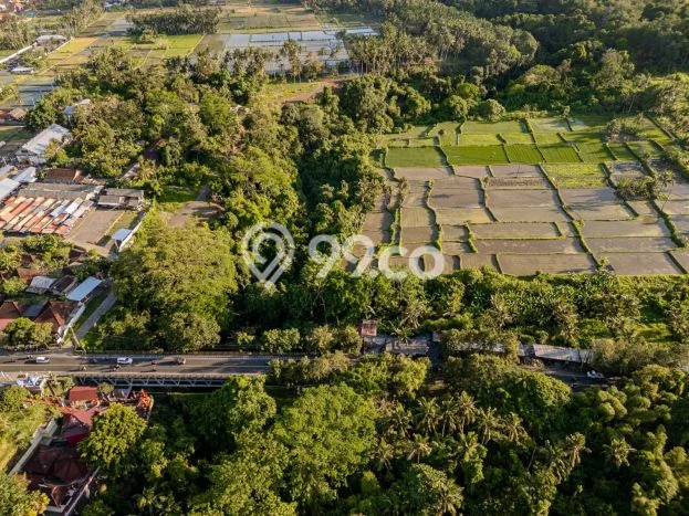 Tanah Kawasan Ubud, Luas 46000m2m², Akses Strategis, Area Prospektif Tanah Kawasan Ubud, Luas 46000m2m², Akses Strategis, Area Prospektif