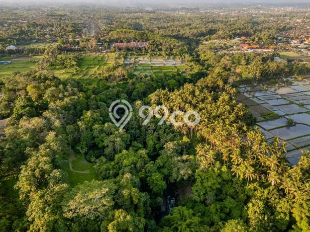 Tanah Kawasan Ubud, Luas 46000m2m², Akses Strategis, Area Prospektif Tanah Kawasan Ubud, Luas 46000m2m², Akses Strategis, Area Prospektif