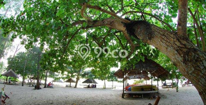Tanah Komersial Dijual di Bintan Utara Bintan 55000m2 Tanah Komersial Dijual di Bintan Utara Bintan 55000m2