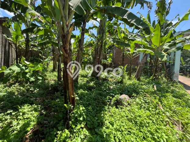 Dijual Tanah Lokasi Jatinangor, Bandung Seluas 136m2 Dijual Tanah Lokasi Jatinangor, Bandung Seluas 136m2