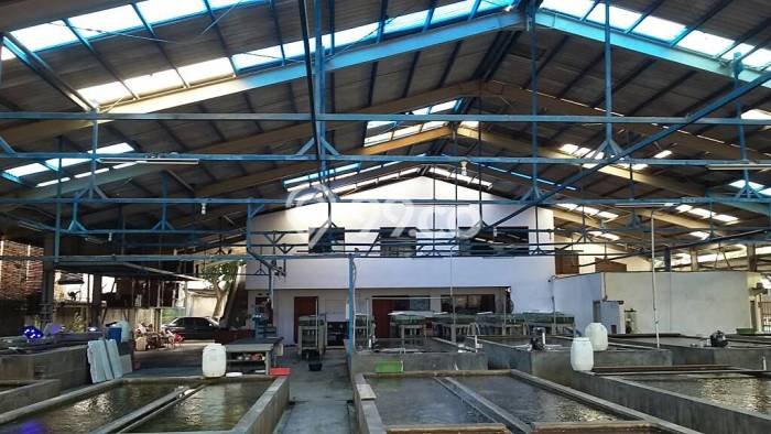 Gudang Dijual di Prime Area Jakarta Barat Luas 900m2 Gudang Dijual di Prime Area Jakarta Barat Luas 900m2