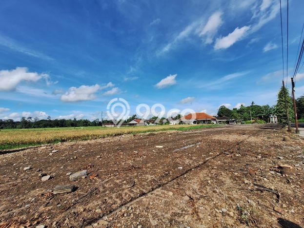 Tanah untuk Dijual Lokasi Klaten Tengah, Klaten Luas 125m2 SHM Tanah untuk Dijual Lokasi Klaten Tengah, Klaten Luas 125m2 SHM