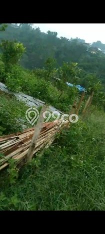 Tanah Kavling Dijual di Badung dengan Spesifikasi 20000m2 Tanah Kavling Dijual di Badung dengan Spesifikasi 20000m2
