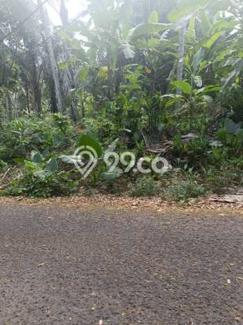 Tanah di Karangasem, Karangasem Luas 750m2 Dijual Segera Tanah di Karangasem, Karangasem Luas 750m2 Dijual Segera