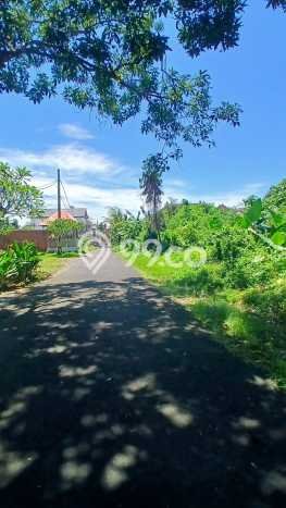 Tanah Disewa di Saba Strategis dan Memiliki Luas 3200m2 Tanah Disewa di Saba Strategis dan Memiliki Luas 3200m2