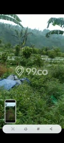 Tanah Kavling Dijual di Badung dengan Spesifikasi 20000m2 Tanah Kavling Dijual di Badung dengan Spesifikasi 20000m2