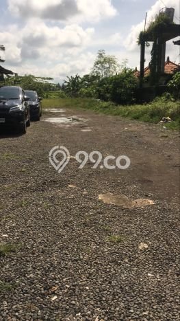 Tanah Disewa di Ubud Gianyar dengan Luas 1240m2 Tanah Disewa di Ubud Gianyar dengan Luas 1240m2