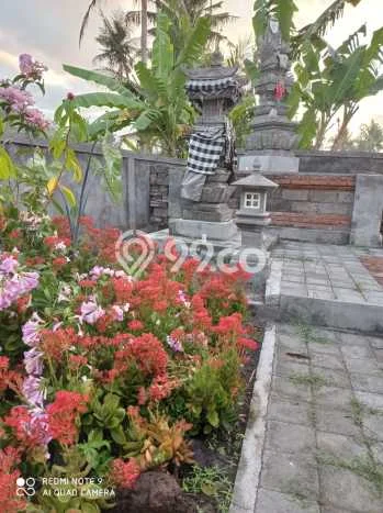 Rumah Minimalis 3 Kamar LT 270m2 di Pering Rumah Minimalis 3 Kamar LT 270m2 di Pering