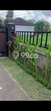 Jual Murah Rumah dengan 3 Kamar Tidur dan 2 Kamar Mandi di Area Bitera, Gianyar Jual Murah Rumah dengan 3 Kamar Tidur dan 2 Kamar Mandi di Area Bitera, Gianyar
