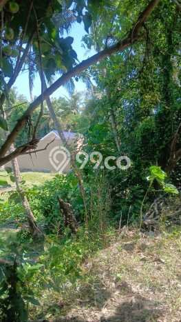 Tanah Kavling untuk Disewa di Blahbatuh Gianyar 2200m2 Tanah Kavling untuk Disewa di Blahbatuh Gianyar 2200m2