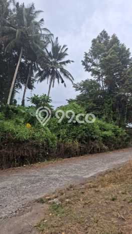 Tanah Dijual Lokasi Strategis di Gianyar dengan Luas 1600m2 Tanah Dijual Lokasi Strategis di Gianyar dengan Luas 1600m2