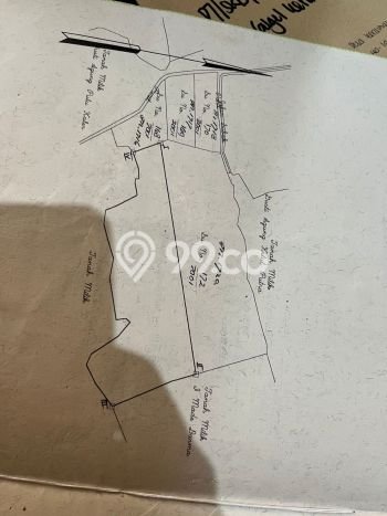 Tanah Disewa di Keramas Strategis dan Memiliki Luas 2400m2 Tanah Disewa di Keramas Strategis dan Memiliki Luas 2400m2