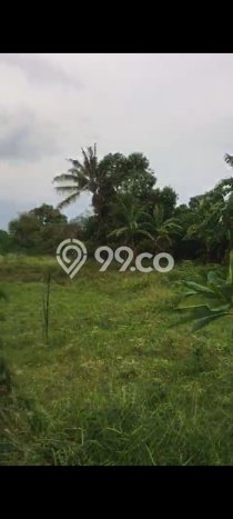 Tanah Disewa di Keramas Strategis dan Memiliki Luas 2400m2 Tanah Disewa di Keramas Strategis dan Memiliki Luas 2400m2