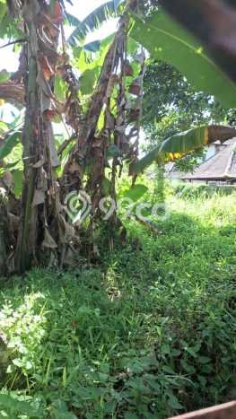 Tanah Dijual Area Strategis di Pejeng Kelod Gianyar 400m2 Tanah Dijual Area Strategis di Pejeng Kelod Gianyar 400m2