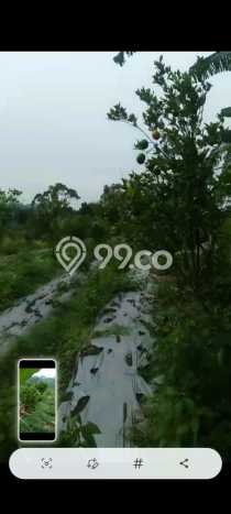 Lahan Dijual Lokasi Petang, Badung dengan Luas Tanah 20000m2 dan Status SHM Lahan Dijual Lokasi Petang, Badung dengan Luas Tanah 20000m2 dan Status SHM