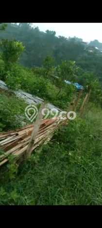 Lahan Dijual Lokasi Petang, Badung dengan Luas Tanah 20000m2 dan Status SHM Lahan Dijual Lokasi Petang, Badung dengan Luas Tanah 20000m2 dan Status SHM
