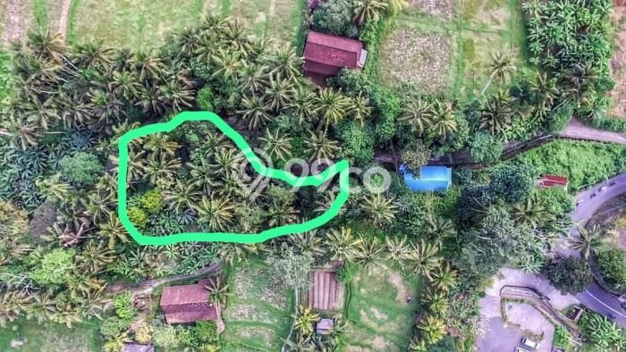 Tanah Kavling Dijual di Peliatan, Gianyar dengan Luas Tanah 1200m2 Tanah Kavling Dijual di Peliatan, Gianyar dengan Luas Tanah 1200m2