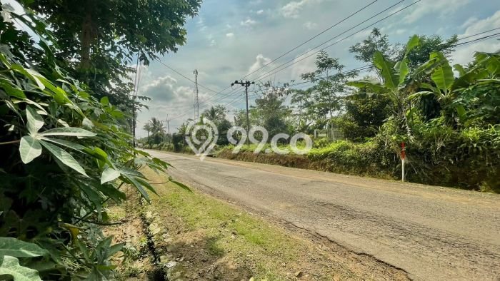 Lahan Investasi Lokasi Bojong Purwakarta SHM Lahan Investasi Lokasi Bojong Purwakarta SHM
