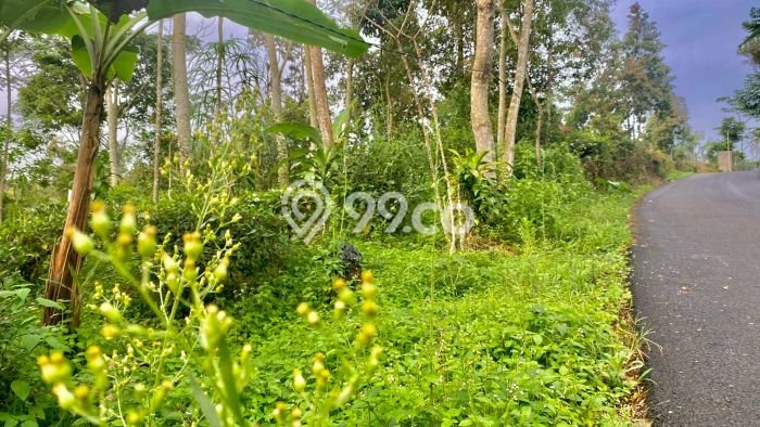 Tanah Kawasan Bojong, Luas 942m², Dekat Fasilitas, Ideal untuk Properti Tanah Kawasan Bojong, Luas 942m², Dekat Fasilitas, Ideal untuk Properti