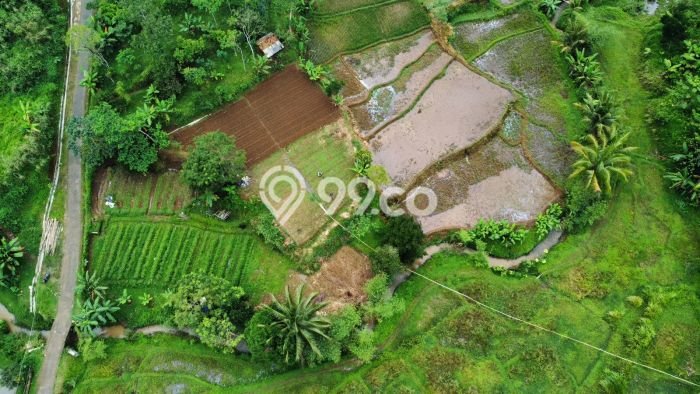 Lahan Kosong Dijual di Purwakarta dengan Area 1767m2 Lahan Kosong Dijual di Purwakarta dengan Area 1767m2