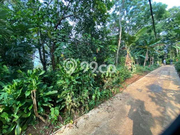 Tanah Kawasan Bojong, Luas 2811m2m², Dekat Jalan Utama Tanah Kawasan Bojong, Luas 2811m2m², Dekat Jalan Utama