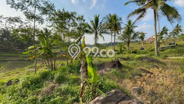 Lahan Investasi Lokasi Tanjungkerta Sumedang SHM Lahan Investasi Lokasi Tanjungkerta Sumedang SHM
