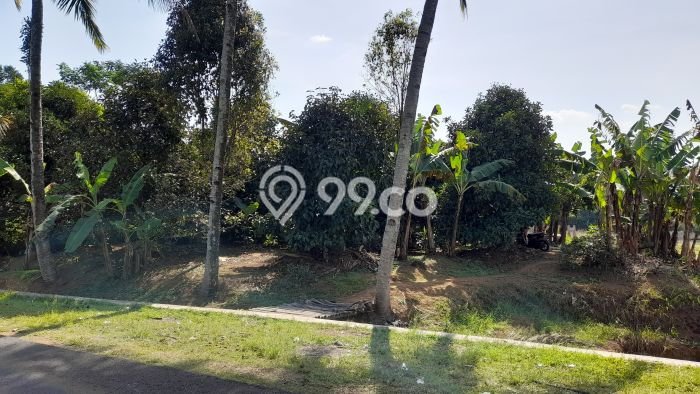 Lahan Kosong Dijual di Kiarapedes, Purwakarta, Luas 2822m2 Area Strategis Lahan Kosong Dijual di Kiarapedes, Purwakarta, Luas 2822m2 Area Strategis