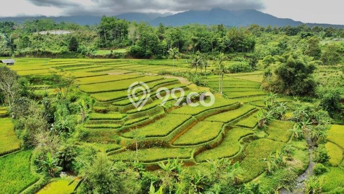 Lahan Investasi Lokasi Bojong Purwakarta SHM Lahan Investasi Lokasi Bojong Purwakarta SHM