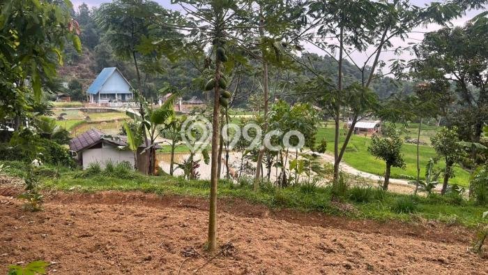 Tanah Kosong Dijual di Purwakarta dengan Area 979m2 Tanah Kosong Dijual di Purwakarta dengan Area 979m2