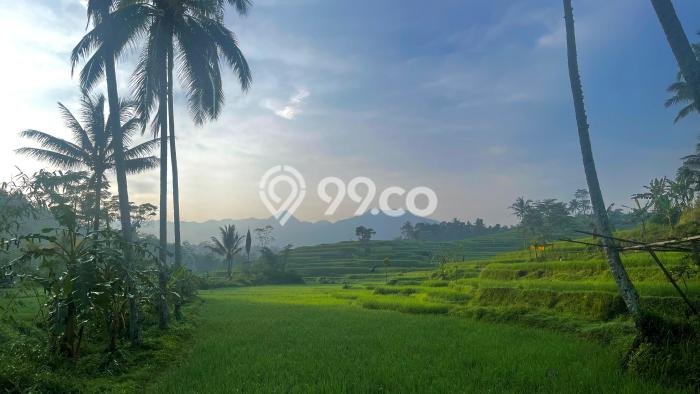 Jarang Ada! Tanah di Darangdan Punya Luas 3337m2 SHM Jarang Ada! Tanah di Darangdan Punya Luas 3337m2 SHM