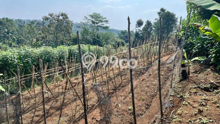 Tanah Area Berkembang di Bojong, Luas 2700m², Cocok untuk Investasi Tanah Area Berkembang di Bojong, Luas 2700m², Cocok untuk Investasi
