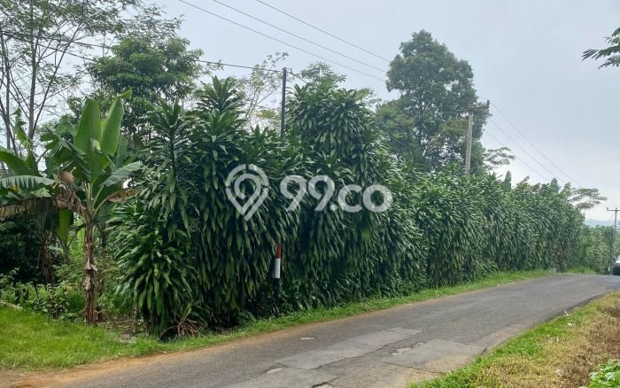HARGA TERBAIK! Tanah Kawasan Kiarapedes, Luas 4300m², Dekat Jalan Raya, Cocok untuk Investasi HARGA TERBAIK! Tanah Kawasan Kiarapedes, Luas 4300m², Dekat Jalan Raya, Cocok untuk Investasi