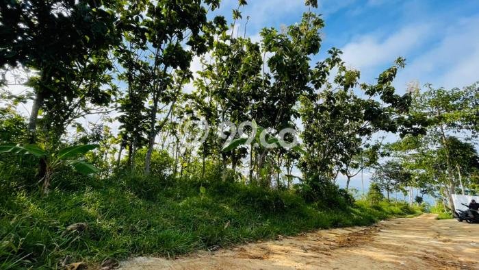 Kavling Tanah Dijual di Sumedang Selatan, Sumedang, Luas 3663m2 Area Strategis Kavling Tanah Dijual di Sumedang Selatan, Sumedang, Luas 3663m2 Area Strategis