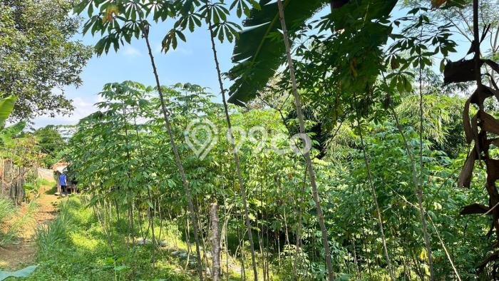 Tanah Area Berkembang di Bojong, Luas 2700m², Cocok untuk Investasi Tanah Area Berkembang di Bojong, Luas 2700m², Cocok untuk Investasi