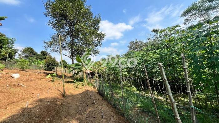 Tanah Area Berkembang di Bojong, Luas 2700m², Cocok untuk Investasi Tanah Area Berkembang di Bojong, Luas 2700m², Cocok untuk Investasi